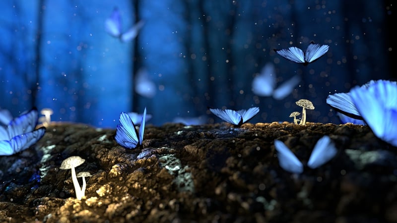 Enchanted Forest Shots